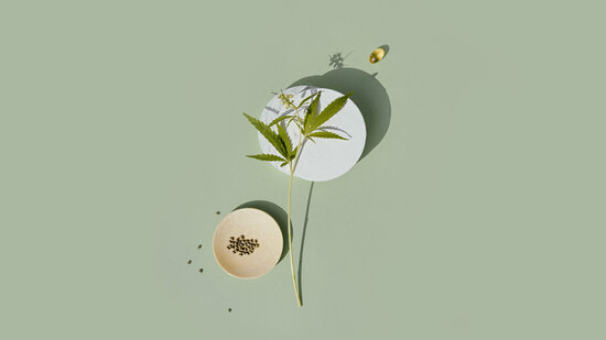 Cannabis Intensive | Herstel Formule