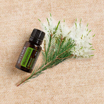 Fris Neusje 5ML