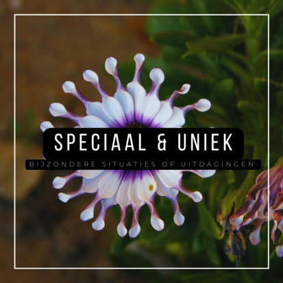 Speciaal & uniek