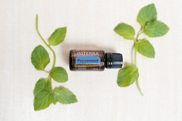 Focus & Energie 5ML